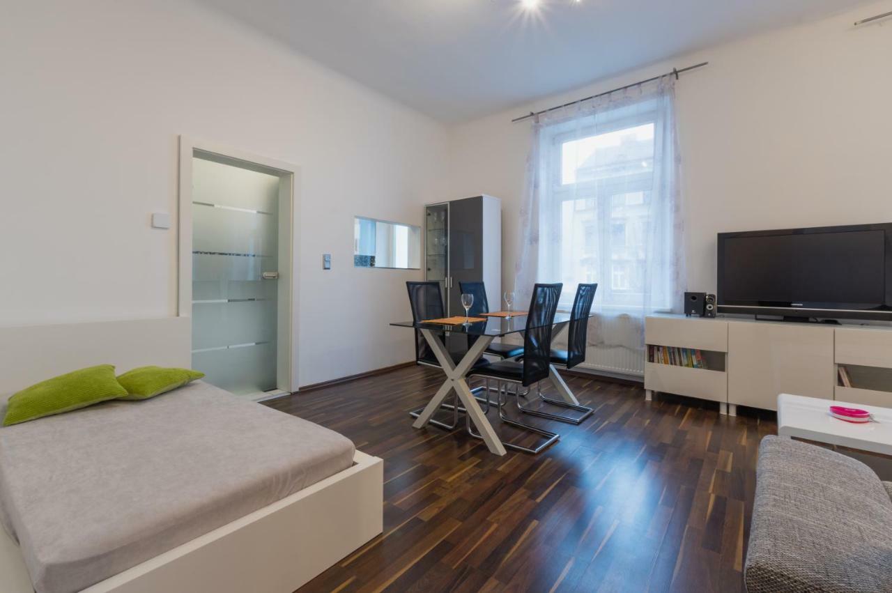 Spacious In Center With Terrace * Vienne