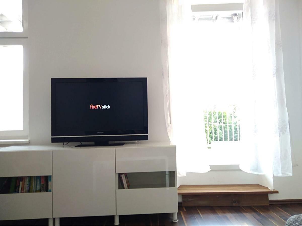 Appartement Spacious In Center With Terrace Vienne